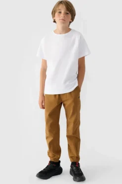 Spodnie Dziecięce|Odzież 4F>4F Chłopięce Spodnie Joggery Casual Gładkie JWMM00TTROM0812-82S Brązowe Brązowy