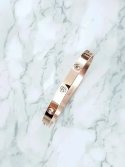 Damska Bransoleta Stalowa Z Cyrkoniami Różowe Złoto 6mm Valerii Bransoletki