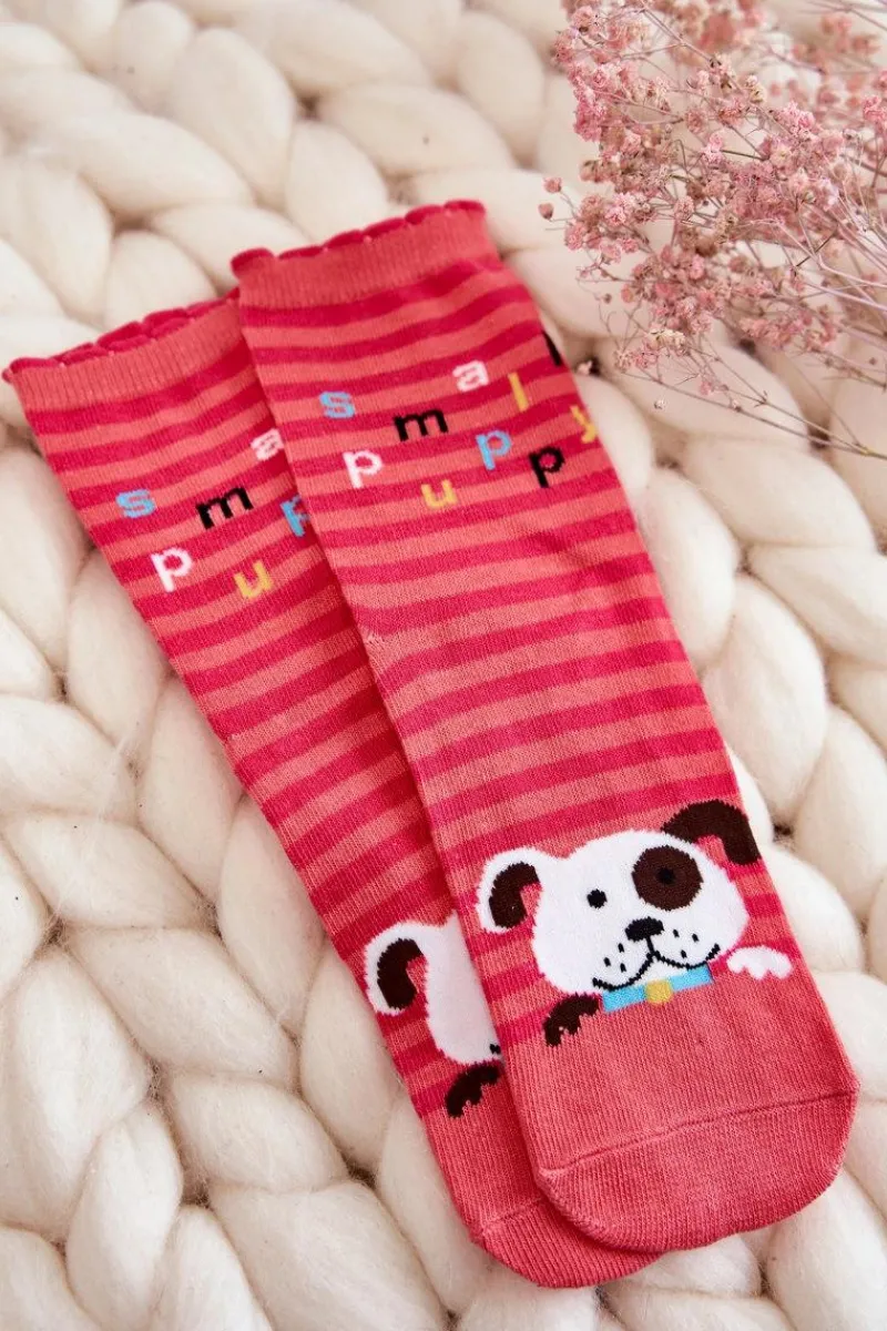 Skarpetki|Skarpetki>Just Play Damskie Bawełniane Śmieszne Skarpetki W Paski 5-Pak Multikolor