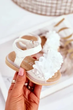 Dziewczęce><noscript><img width=