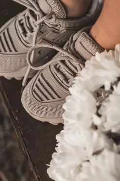 Boto Dziecięce Sneakersy Szare Freak Out