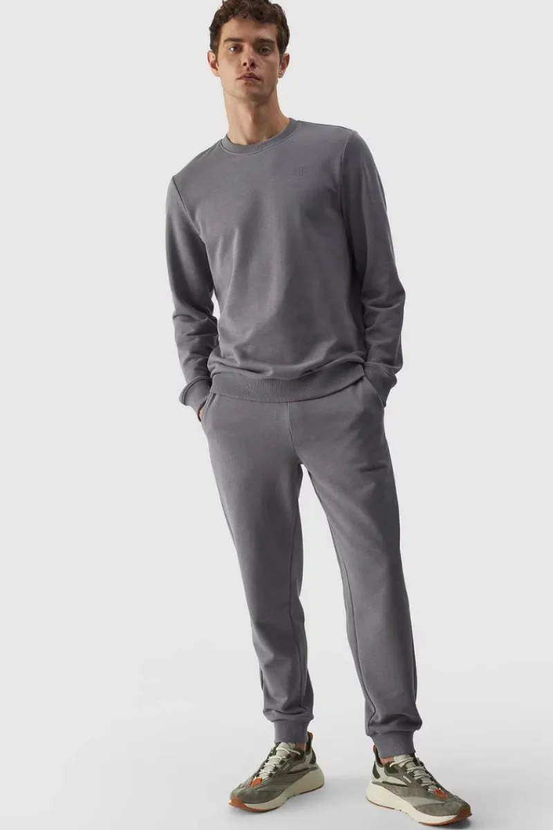 Online Męskie Spodnie Dresowe Joggery WMM00TTROM0942-25S Szare Męskie Spodnie Męskie|Odzież 4F