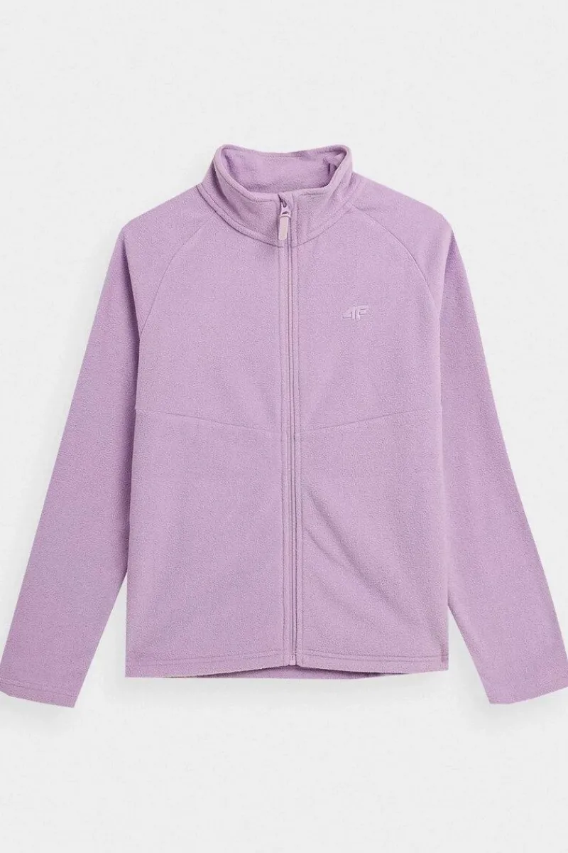 Bluzy Damskie|Odzież 4F>4F Polar Ze Stójką Regular Damski AW23TFLEF146-52S Fioletowy