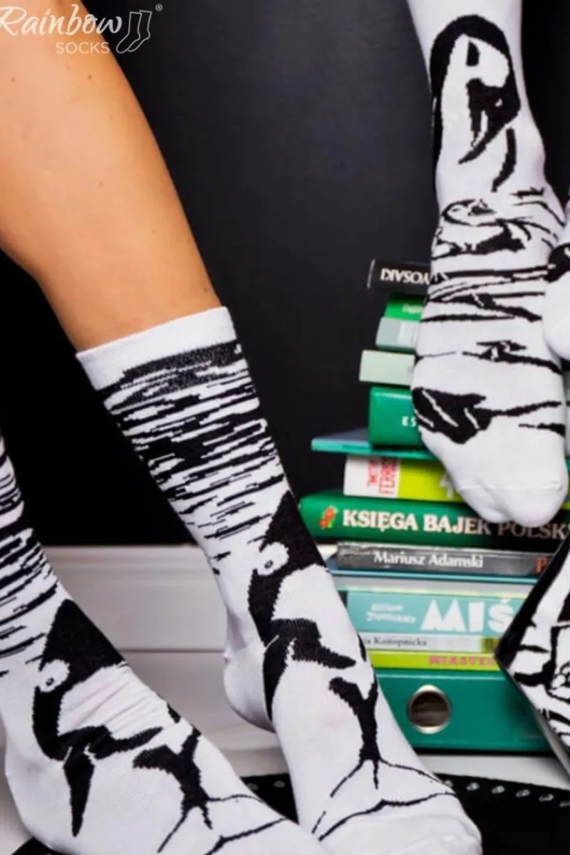 ZOOKSY/RAINBOW SOCKS Skarpetki Rainbow Socks W Motywy Zwierzęce Orka Pingwin Czarno-Białe 2 Pary