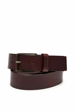 Paski><noscript><img width=