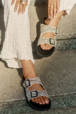 Clearance D.Franklin Zamszowe Klapki Damskie Z Klamrami DFSH405002 Zebra